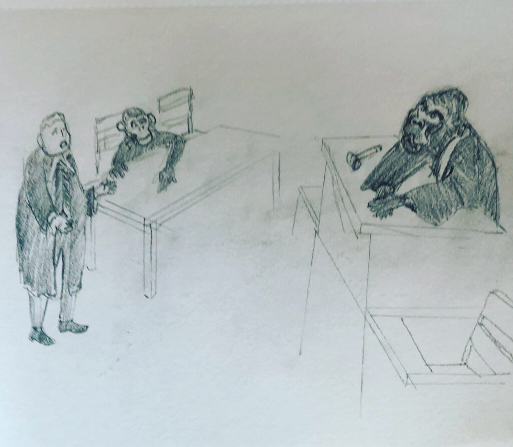 cartoon of courtroom, human lawyer standing speaking to the gorilla judge. client is a chimpanzee.